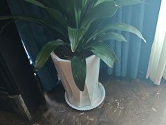 -洛阳宴·洛阳菜(南昌路店)