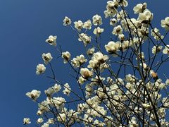 -东钱湖旅游度假区