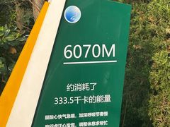 -南京老山国家森林公园
