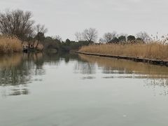 -西溪国家湿地公园