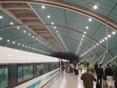 -浦东1号2号航站楼(地铁站)