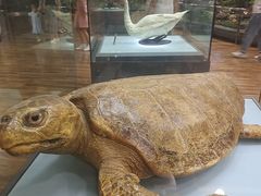 -陕西自然博物馆