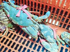 -巽寮印象美食部落餐厅·海鲜·地方特色菜(惠州体验店)