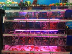 -泉州丰泽新华都百货(丰泽广场店)