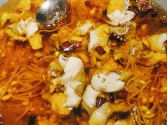 -雲蜀龙阁·金牌水煮鱼(方庄店)