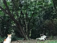 -苏州河梦清园环保主题公园