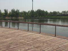 -永定河休闲森林公园