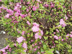 -福奈特洗衣·洗鞋·奢侈品护理(沈阳三经街店)