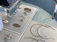 -MIU MIU(上海商城店)