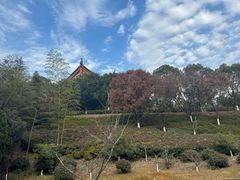 -游子山休闲旅游区