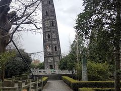 -上海佘山国家森林公园天马山园