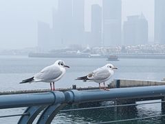 -青岛奥林匹克帆船中心