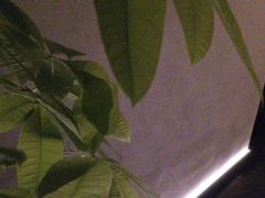 -泰之源足浴会所(玉环店)