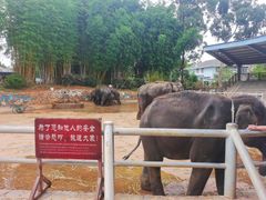 -云南民族村