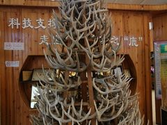 -北京鹿世界主题园