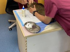 -美联众合动物医院(·中兽医·疑难杂症·严家桥分院)