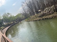 -上海浦江郊野公园-5号停车场