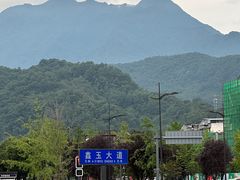 -老号尤兔头(幸福店)