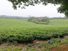 -敬亭山风景名胜区