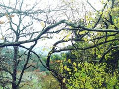 -塔川景区