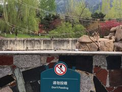 -西安秦岭野生动物园