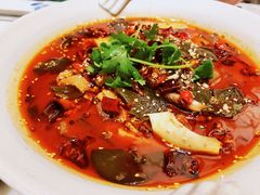 -辛香汇·现炒川菜(淮海路百盛店)