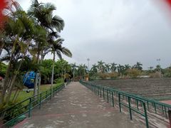 -观澜湖旅游度假区