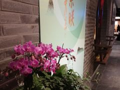 -青藤茶馆(南山路店)