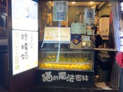 -猫的魔法密林(衣裳街店)