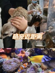 -Zoolung Zoolung动物主题公园(海信广场店)