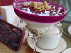 -视界美食自助餐厅·石家庄希尔顿酒店