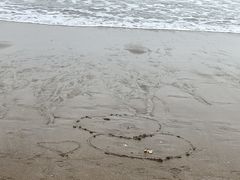 -东海岛旅游度假区