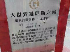 -龙津风雨桥