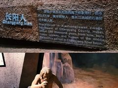 -武汉园博园(武汉自然博物馆)