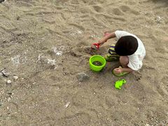 -大锅强·蒸海鲜青岛菜(吾悦广场店)