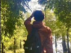 -南宁花花大世界景区