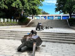 -广东惠东海龟国家级自然保护区