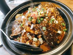 甲鱼-鳖皇甲鱼餐厅(平阳路店)