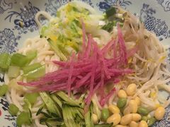 -大海碗·炸酱面·烤鸭·京菜(天坛店)