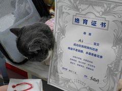 -纳吉亚猫专科动物医院·北北分院