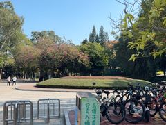 -厦门大学(思明校区)