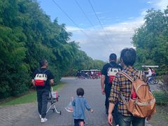 -上海海湾国家森林公园