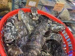 -鹊华居·地道鲁菜·海鲜·融合味(大明湖店)