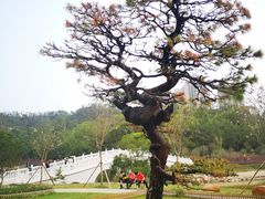 -香山湖公园
