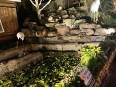 -丽泽山庄·生态怀柔菜·虹鳟鱼(红螺寺店)