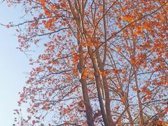 -春晖园度假酒店温泉