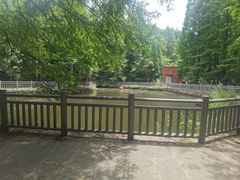 -山王坪喀斯特国家生态公园