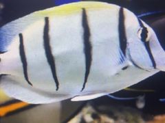 -洛阳龙门海洋馆