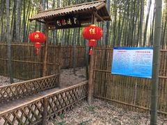 -陶祖圣境风景区