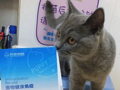 -芭比堂动物医院广州顽皮分院